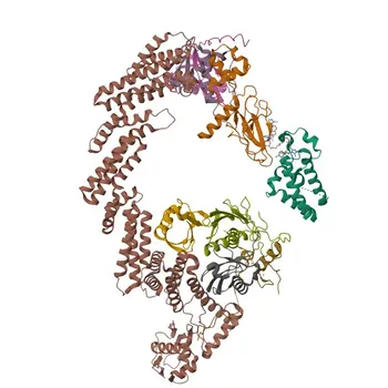 Anti-CDC34 Rabbit Monoclonal Antibody for WB, ELISA - P49427