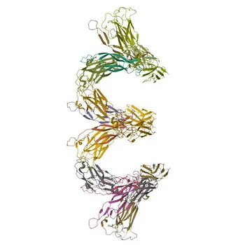 Anticorpo Monoclonal Coelho Anti-Humano IL-17RB para Citometria de Fluxo - Q9NRM6