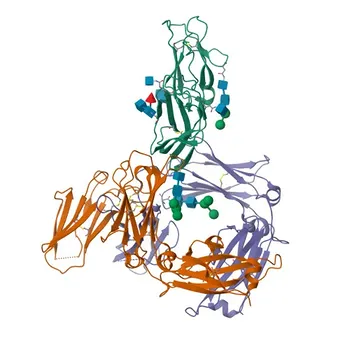 Anticuerpo monoclonal de conejo anti-FcεR1α para WB, FC y ELISA - P12319