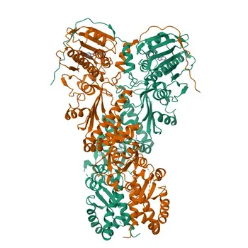 Anticorpo Monoclonal de Coelho Anti-TRAP1 para WB, IP, IF/ICC, IF-P, IHC-P, ELISA - Q12931