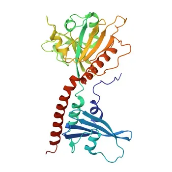 Anti-RAP1A + RAP1B monoklonaler Antikörper für WB, IF/ICC, ELISA - P61224 / P62834