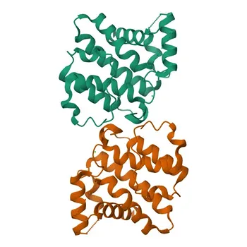 جسم مضاد أحادي النسيلة ضد بيتا p85 من كيناز PI3 المضاد لـ WB و ELISA - O00459