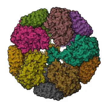 Anticorpo monoclonale di coniglio anti-NLRP3 per WB, IP, ELISA - Q96P20
