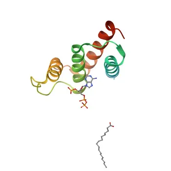 ACBD5 Rabbit pAb - Q5T8D3