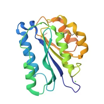 Anticorpo policlonale Anti-CLCA1 per WB, IF-P, ELISA - A8K7I4