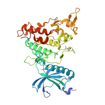 Anticorpo policlonale anti-DYRK1A per WB, ELISA - Q13627
