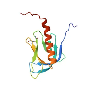 Anticorpo policlonale di coniglio anti-SWAP70 per WB, IHC-P, IF/ICC, ELISA - Q9UH65