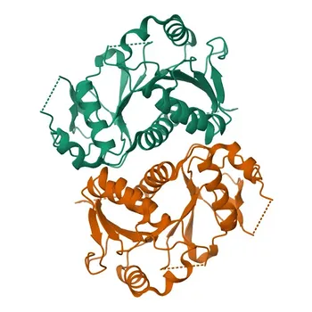Anti-EDC3 Rabbit Polyclonal Antibody for WB - Q96F86