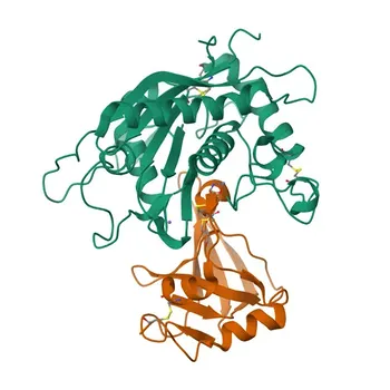 Anticorpo Policlonale di Coniglio Anti-TIMP3 per WB ed ELISA - P35625