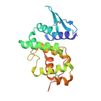 Anticorpo policlonale anti-EEF1E1 per WB, IF/ICC, ELISA - O43324