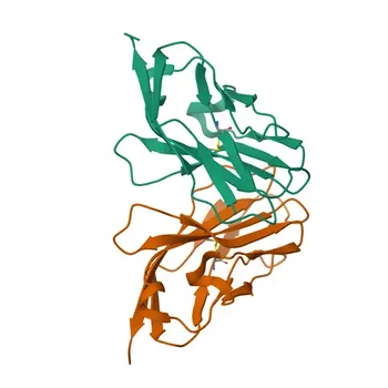 Anticorpo policlonale Anti-MPZL1 per WB, ELISA - O95297