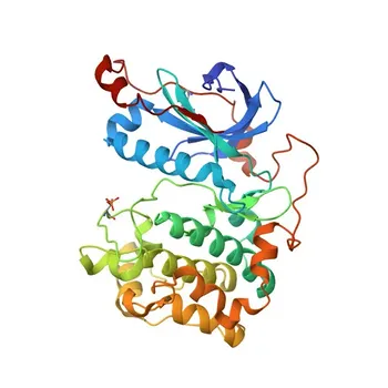 Anti-PKN1 Polyclonal Antibody for WB, ELISA - Q16512
