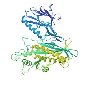 Anti-FIG4 Polyclonal Antibody for WB, ELISA - Q92562