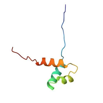 Anti-RERE (Atrophin-1-like Protein) Polyclonal Antibody for WB and ELISA - Q9P2R6