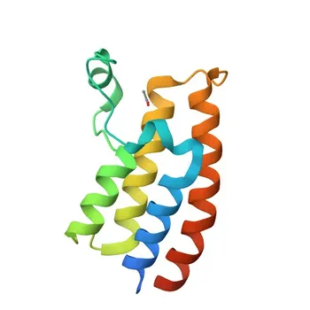 Anti-BRWD1 Polyclonal Antibody for WB, ELISA - Q9NSI6