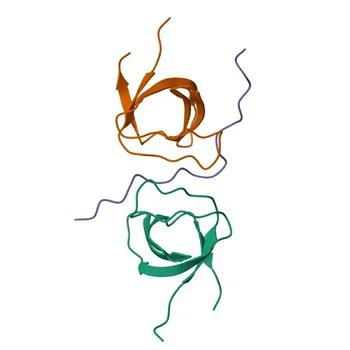 Anti-ARHGEF7 Rabbit Polyclonal Antibody for WB, ELISA - Q14155