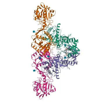 Anti-FKRP Polyclonal Antibody for WB, ELISA - Q9H9S5
