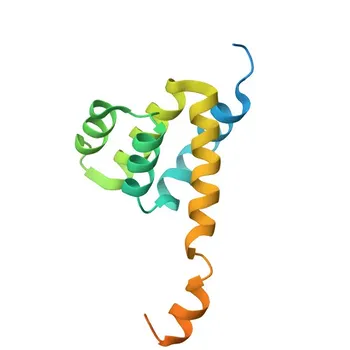 Anticorpo policlonale anti-NOD1 per WB, IHC-P, ELISA - Q9Y239