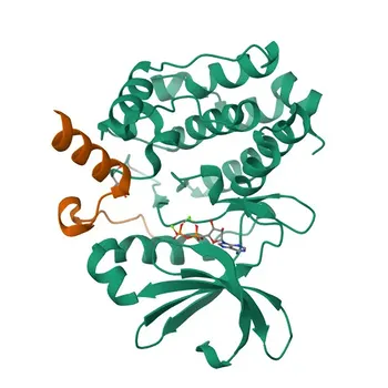 Anticorpo Policlonal de Coelho Anti-N-Myc/MYCN para WB, IF-P, IHC-P, ELISA - P04198
