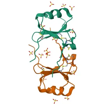Anti-CCL1 (I-309) Kaninchen-Polyclonal-Antikörper für WB, ELISA – P22362