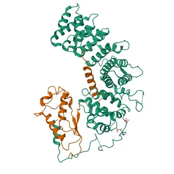 Anticorpo policlonale di coniglio anti-GNAQ per WB, IHC-P, IF/ICC, ELISA - P50148