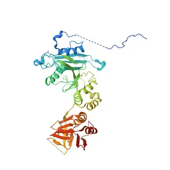 Anticorpo policlonale di coniglio anti-SUFU per WB, IHC-P, IF/ICC, ELISA - Q9UMX1