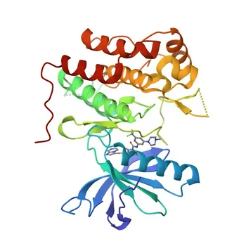 Anticorpo Policlonale Anti-TrKC per WB, ELISA - Q16288