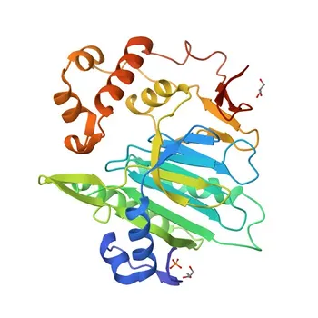 NTAN1 Rabbit Polyclonal Antibody for WB and ELISA - Q96AB6