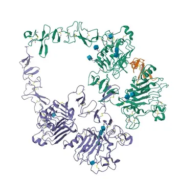 Anticorpo Monoclonal de Coelho Anti-Fosfo-ErbB3/HER3-Y1289 para WB, ELISA - P21860