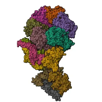 Anti-WDHD1 Polyclonal Antibody for WB, IHC-P, IF/ICC, ELISA - O75717