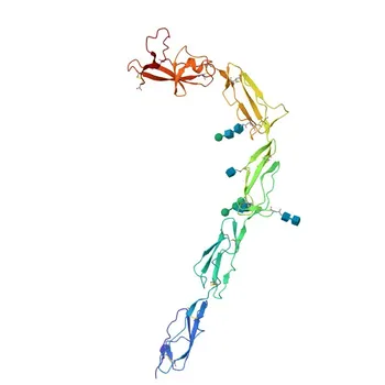 Anti-APOH Rabbit Polyclonal Antibody for WB, IF/ICC, ELISA - P02749