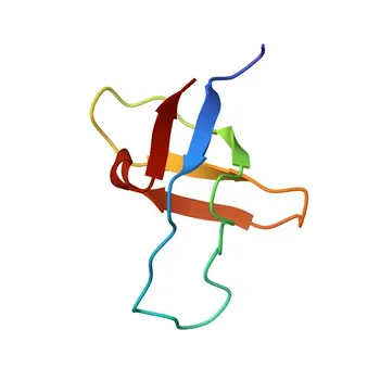 Anti-GAS7 Polyclonal Antibody for WB, ELISA - O60861