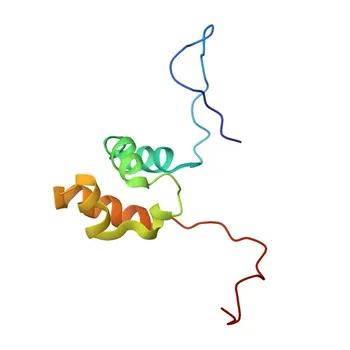 SASH1 Rabbit Polyclonal Antibody for WB and ELISA - O94885