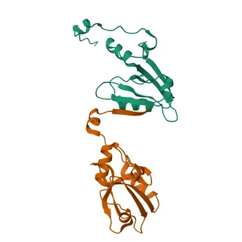 Anti-SLC9A3R1 Rabbit Polyclonal Antibody for WB, ELISA - O14745