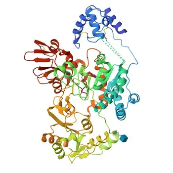 Anticorpo policlonale di coniglio anti-GNT-V/MGAT5 per WB ed ELISA - Q09328