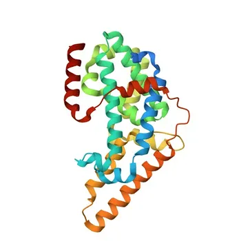 Anticorpo policlonale di coniglio anti-RALGPS1 per WB ed ELISA - Q5JS13