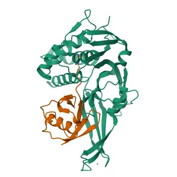 Anti-USP30 Rabbit Polyclonal Antibody for WB, IF/ICC, ELISA - Q70CQ3