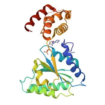 Anti-SPG7 Polyclonal Antibody for WB, IHC-P, IF/ICC, ELISA - Q9UQ90