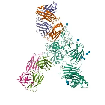 Anti-TMPRSS6 Rabbit Polyclonal Antibody for WB, IF-P, ELISA - Q8IU80