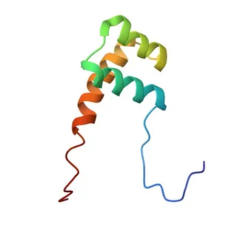 Anti-HOXA13 Polyclonal Antibody for WB, ELISA - P31271