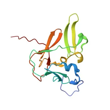 Anti-PRDM2 Rabbit Polyclonal Antibody for WB and ELISA - Q13029