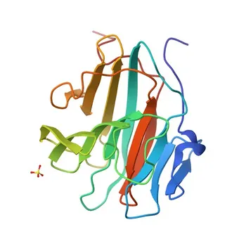 Anti-TRIM9 Rabbit Polyclonal Antibody for WB, ELISA - Q9C026