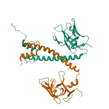 Anti-MITF Rabbit Polyclonal Antibody for WB and ELISA - O75030