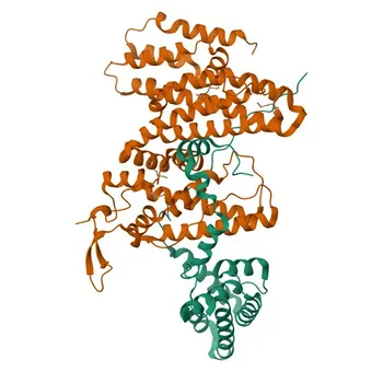 Anti-ASCC2 Polyclonal Antibody for WB, ELISA - Q9H1I8