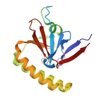 Anticorpo policlonale coniglio anti-TCTP/TPT1 per WB, IF/ICC, ELISA - P13693