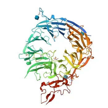 Anti-SORL1 Rabbit Polyclonal Antibody for WB, ELISA - Q92673