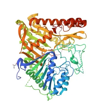 Anticorpo policlonale Anti-PLD2 per WB, ELISA - O14939