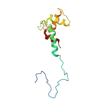 Anti-CABP7 Polyclonal Antibody for WB, IHC-P, ELISA - Q86V35