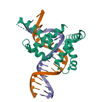 Anti-CIC (Capicua) Rabbit Polyclonal Antibody for WB and ELISA - Q96RK0