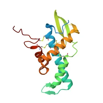Anti-MZB1 Polyclonal Antibody for WB, IHC-P, ELISA - Q8WU39